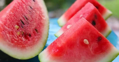 como escolher melancia